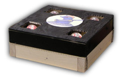 The Physical Device