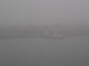 Island in the fog.