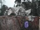 Sculpture of Sibelius.