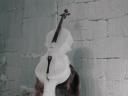 Ice cello.